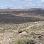 Thumbnail of 40.00 ACRES IN CHURCHILL COUNTY, NEVADA NEAR FERNLEY, CARSON CITY & LAHONTAN RESERVOIR~SHORT DRIVE TO CALIFORNIA~~GORGEOUS VIEWS Photo 7
