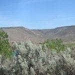 Thumbnail of .17 Acre Lot in Malheur County Right of Hwy 26! Photo 2
