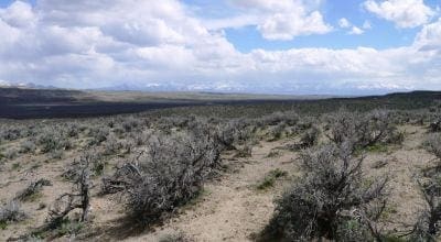 Large view of Secluded 1.14 Acres with Intermittent Stream, 7th St, Elko Nevada Photo 7