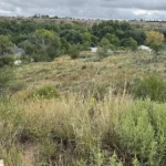 Thumbnail of 0.649 ACRE BUILDING LOT IN WRAY, COLORADO ON US. ROUTE 385 HIGHWAY FRONTAGE! Photo 15