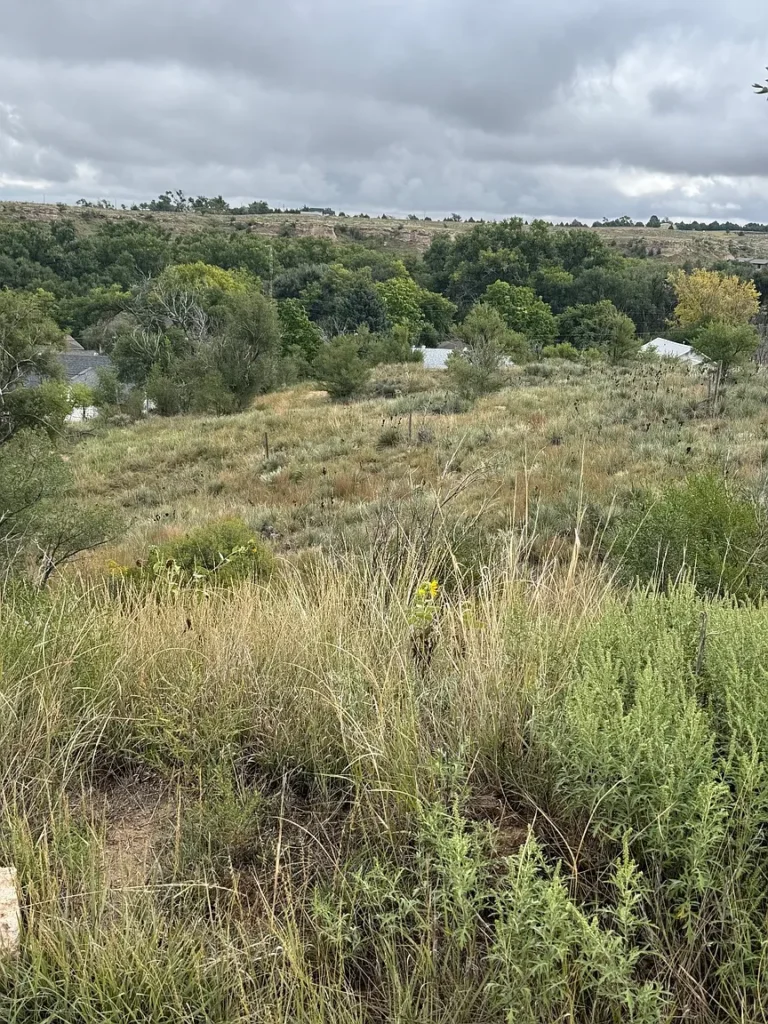 Large view of 0.649 ACRE BUILDING LOT IN WRAY, COLORADO ON US. ROUTE 385 HIGHWAY FRONTAGE! Photo 15