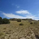 Thumbnail of 40.64 ACRES IN GORGEOUS LAS ANIMAS COUNTY, COLORADO ~ TREED PROPERTY IN THE HILLS NEAR NEW MEXICO BORDER. Photo 14