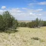 Thumbnail of 40.64 ACRES IN GORGEOUS LAS ANIMAS COUNTY, COLORADO ~ TREED PROPERTY IN THE HILLS NEAR NEW MEXICO BORDER. Photo 15