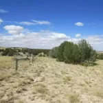 Thumbnail of 40.64 ACRES IN GORGEOUS LAS ANIMAS COUNTY, COLORADO ~ TREED PROPERTY IN THE HILLS NEAR NEW MEXICO BORDER. Photo 12