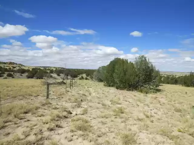 40.64 ACRES IN GORGEOUS LAS ANIMAS COUNTY, COLORADO ~ TREED PROPERTY IN THE HILLS NEAR NEW MEXICO BORDER. photo 12
