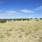 Thumbnail of 40.64 ACRES IN GORGEOUS LAS ANIMAS COUNTY, COLORADO ~ TREED PROPERTY IN THE HILLS NEAR NEW MEXICO BORDER. Photo 13