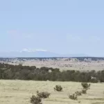Thumbnail of 40.64 ACRES IN GORGEOUS LAS ANIMAS COUNTY, COLORADO ~ TREED PROPERTY IN THE HILLS NEAR NEW MEXICO BORDER. Photo 11