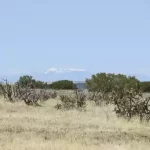 Thumbnail of 40.64 ACRES IN GORGEOUS LAS ANIMAS COUNTY, COLORADO ~ TREED PROPERTY IN THE HILLS NEAR NEW MEXICO BORDER. Photo 10