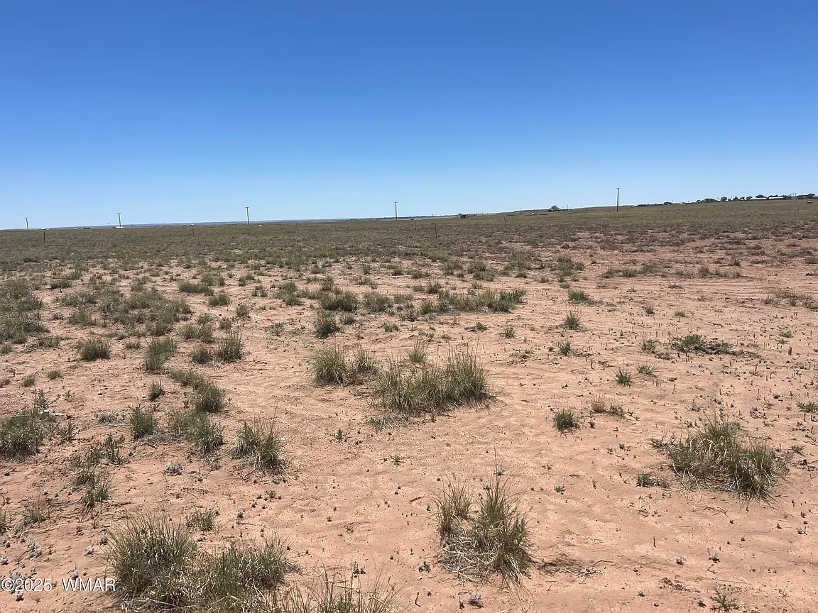 1.25 ACRES IN BEAUTIFUL NAVAJO CO, ARIZONA ON SUNSET RD IN SUN VALLEY NEAR PETRIFIED FOREST NAT. PARK! photo 1