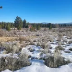 Thumbnail of 0.47 AC BUILDING LOT IN BEAUTIFUL OREGON SHORES NEAR CRATER LAKE & CALIFORNIA BORDER. Photo 8