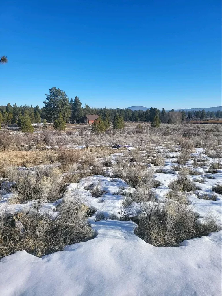Large view of 0.47 AC BUILDING LOT IN BEAUTIFUL OREGON SHORES NEAR CRATER LAKE & CALIFORNIA BORDER. Photo 8