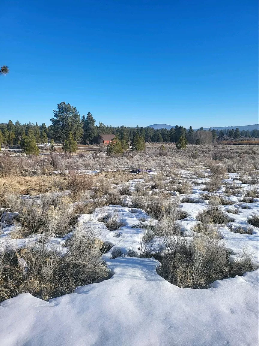 0.47 AC BUILDING LOT IN BEAUTIFUL OREGON SHORES NEAR CRATER LAKE & CALIFORNIA BORDER. photo 8