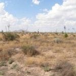 Thumbnail of Rare! Three Separate Lots For Sale In Luna County, New Mexico! Photo 2