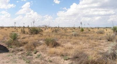 Large view of Rare! Three Separate Lots For Sale In Luna County, New Mexico! Photo 2