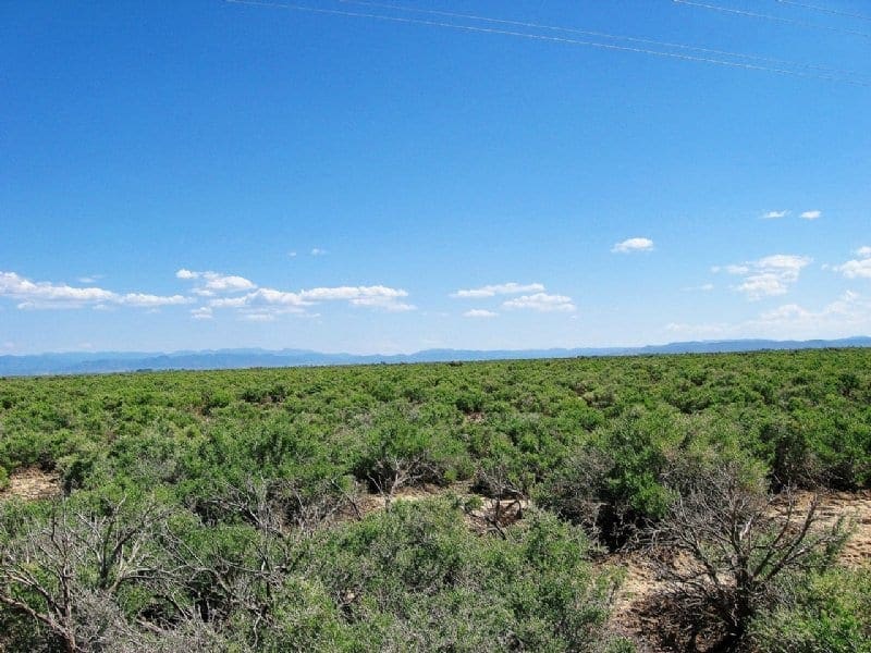 Large view of Wide Open Utah Land! Two Lots for Sale with Breathtaking Views! Photo 1