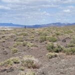 Thumbnail of 40.00 ACRES IN CHURCHILL COUNTY, NEVADA NEAR FERNLEY, CARSON CITY & LAHONTAN RESERVOIR~SHORT DRIVE TO CALIFORNIA~~GORGEOUS VIEWS Photo 10