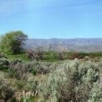 Thumbnail of .17 Acre Lot in Malheur County Right of Hwy 26! Photo 1