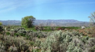 Large view of Great 0.14 Acre Lot in Brogan County, Oregon Near Idaho Border Photo 8