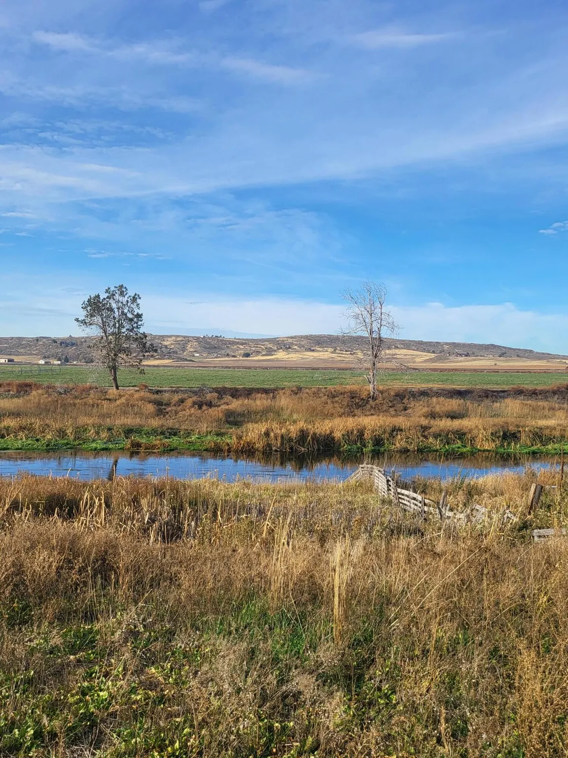 2.14 ACRES ON THE GORGEOUS LOST RIVER WITH HIGHWAY FRONTAGE ~ MERRILL, OREGON. 5***** photo 1