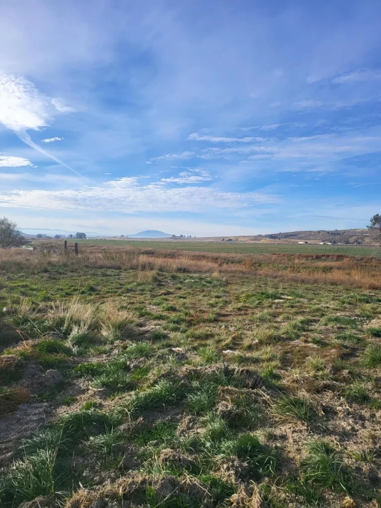 Large view of 2.72 ACRES IN GORGEOUS KLAMATH COUNTY, OREGON ~ LOST RIVER FRONTAGE/HIGHWAY FRONT IN BEAUTIFUL MERRILL Photo 19