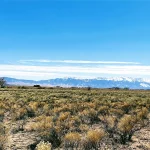 Thumbnail of 3.27 ACRES IN CRESTONE, COLORADO WITH BEAUTIFUL VIEWS OF THE SOUTHERN ROCKY MOUNTAINS AND BACKS CREEK. Photo 4