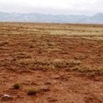 Thumbnail of Gorgeous building lot in Tierra Grande New Mexico with Power and Road! Photo 2