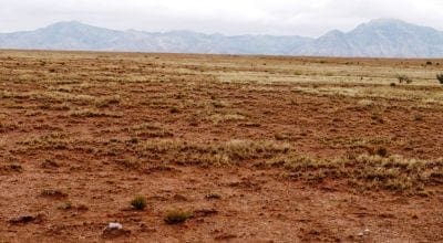 Gorgeous building lot in Tierra Grande New Mexico with Power and Road! photo 2