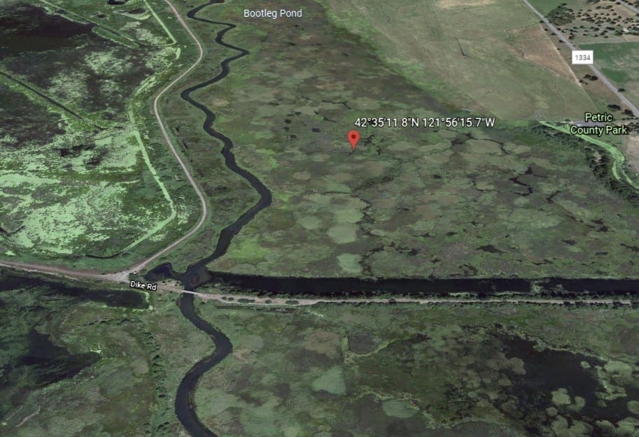 One Of A Kind 29.55 Acre Famous Wood River Marsh Property with World Class Fishing. photo 16