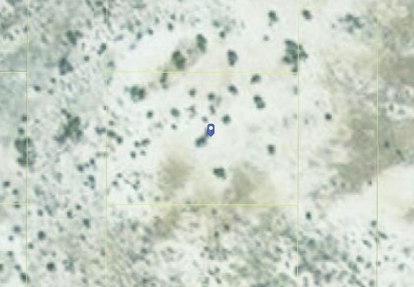 .33 Acres Perfect for an Explorer! Just outside of Crescent Valley & No Zoning do What you Want! photo 15