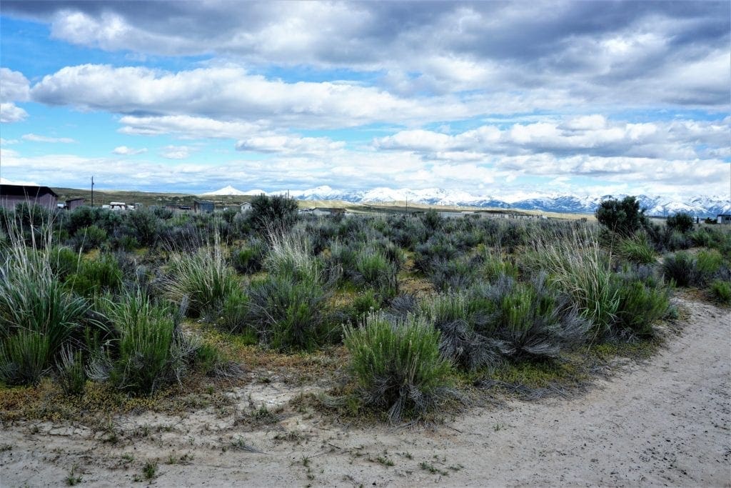 Large view of 1.030 Acre Beautiful lot in N.E Nevada near Elko with Creek Photo 4