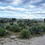 Thumbnail of 1.030 Acre Beautiful lot in N.E Nevada near Elko with Creek Photo 4