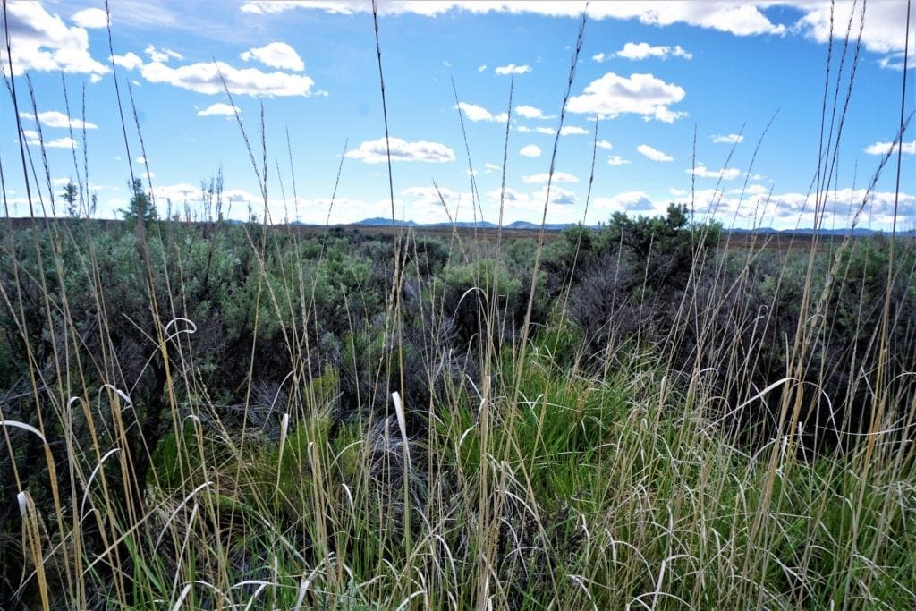 Large view of 1.030 Acre Beautiful lot in N.E Nevada near Elko with Creek Photo 3