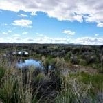 Thumbnail of 1.030 Acre Beautiful lot in N.E Nevada near Elko with Creek Photo 2
