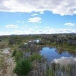 Thumbnail of 1.030 Acre Beautiful lot in N.E Nevada near Elko with Creek Photo 6
