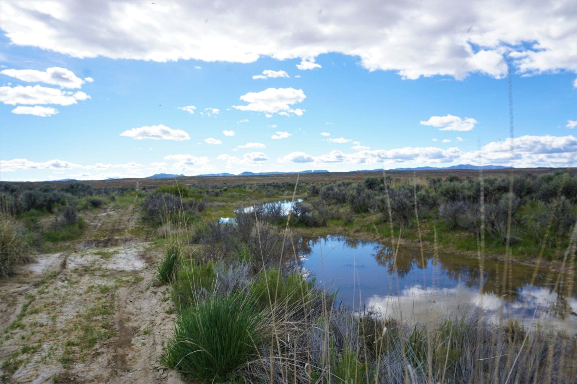 1.030 Acre Beautiful lot in N.E Nevada near Elko with Creek photo 6
