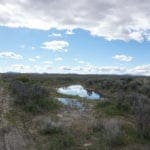 Thumbnail of 1.030 Acre Beautiful lot in N.E Nevada near Elko with Creek Photo 8