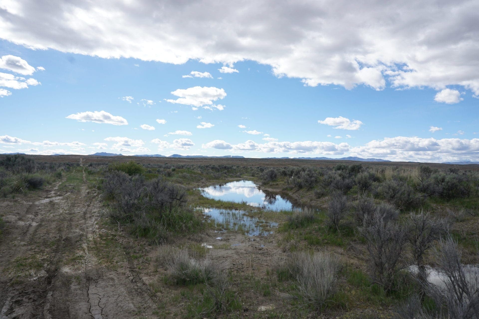 1.030 Acre Beautiful lot in N.E Nevada near Elko with Creek photo 8