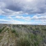 Thumbnail of 1.030 Acre Beautiful lot in N.E Nevada near Elko with Creek Photo 13