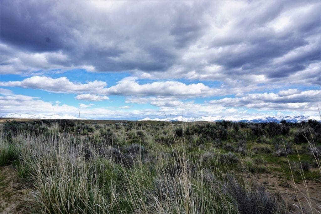 Large view of 1.030 Acre Beautiful lot in N.E Nevada near Elko with Creek Photo 14