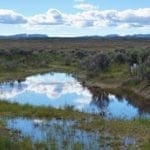 Thumbnail of 1.030 Acre Beautiful lot in N.E Nevada near Elko with Creek Photo 1