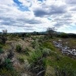 Thumbnail of 1.030 Acre Beautiful lot in N.E Nevada near Elko with Creek Photo 19