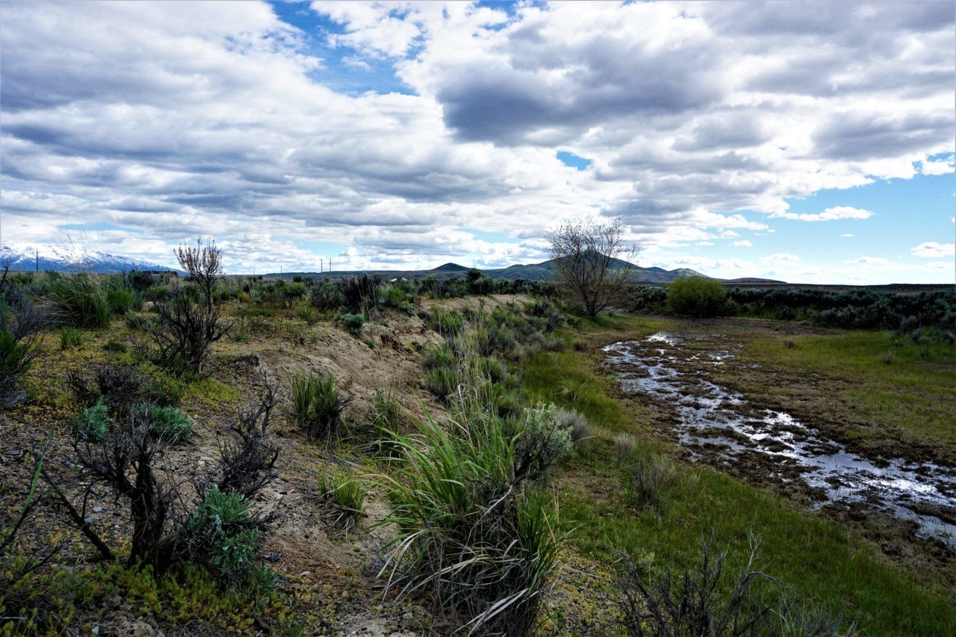 1.030 Acre Beautiful lot in N.E Nevada near Elko with Creek photo 19