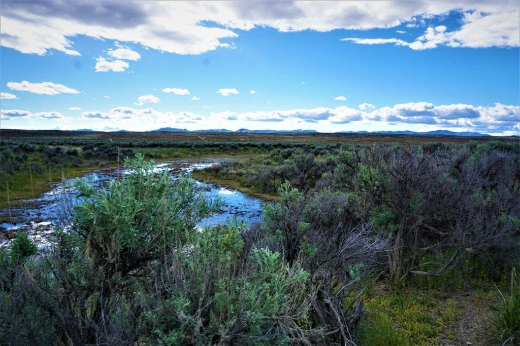 Large view of 1.030 Acre Beautiful lot in N.E Nevada near Elko with Creek Photo 21