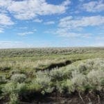 Thumbnail of Beautiful 1.37 Acre Lot In Wild Horse Estates, Nevada! Adjoining Parcel Available Photo 17