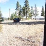 Thumbnail of Great Building Lot in TOWN OF SPRAGUE RIVER WITH SHACK, TREES AND LIVE WATER SPICKET. Photo 31