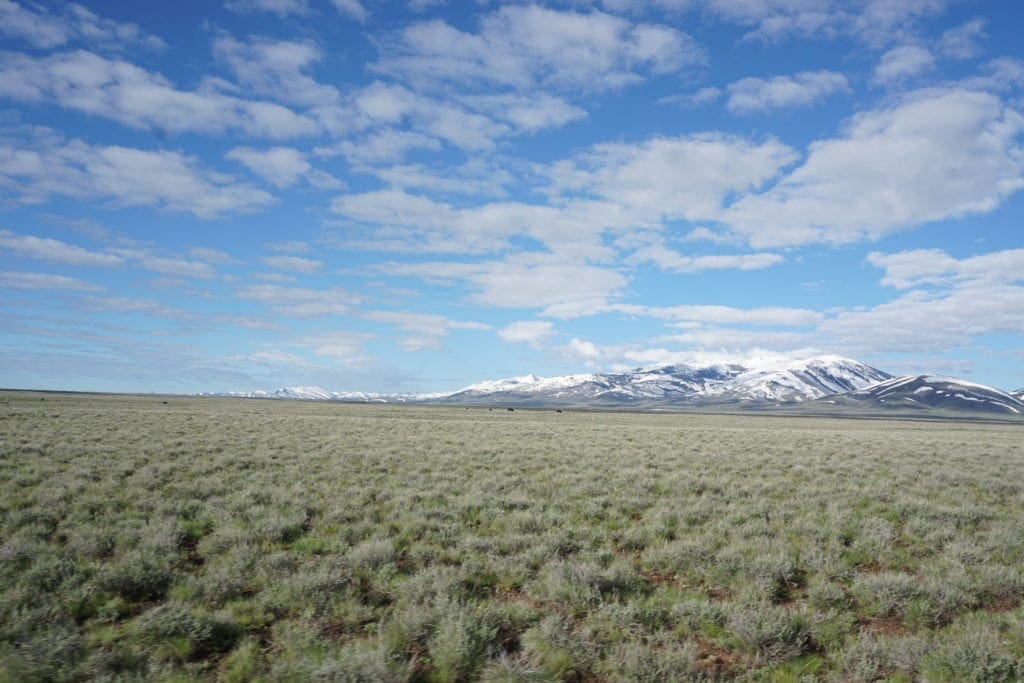 Large view of Beautiful 1.37 Acre Lot In Wild Horse Estates, Nevada! Adjoining Parcel Available Photo 9