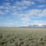 Thumbnail of Beautiful 1.37 Acre Lot In Wild Horse Estates, Nevada! Adjoining Parcel Available Photo 9