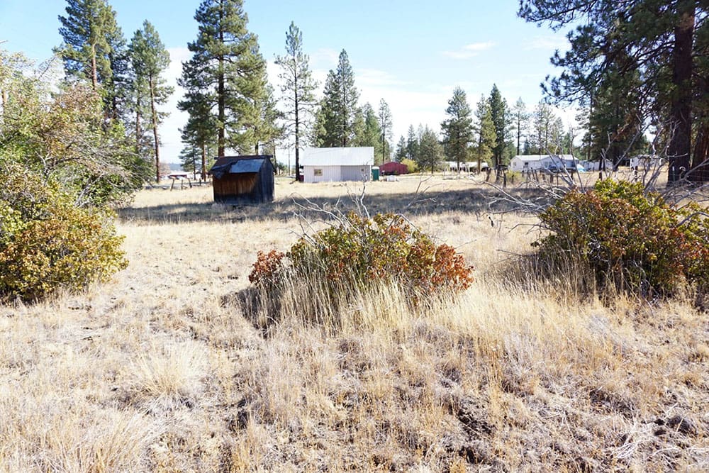 Great Building Lot in TOWN OF SPRAGUE RIVER WITH SHACK, TREES AND LIVE WATER SPICKET. photo 32