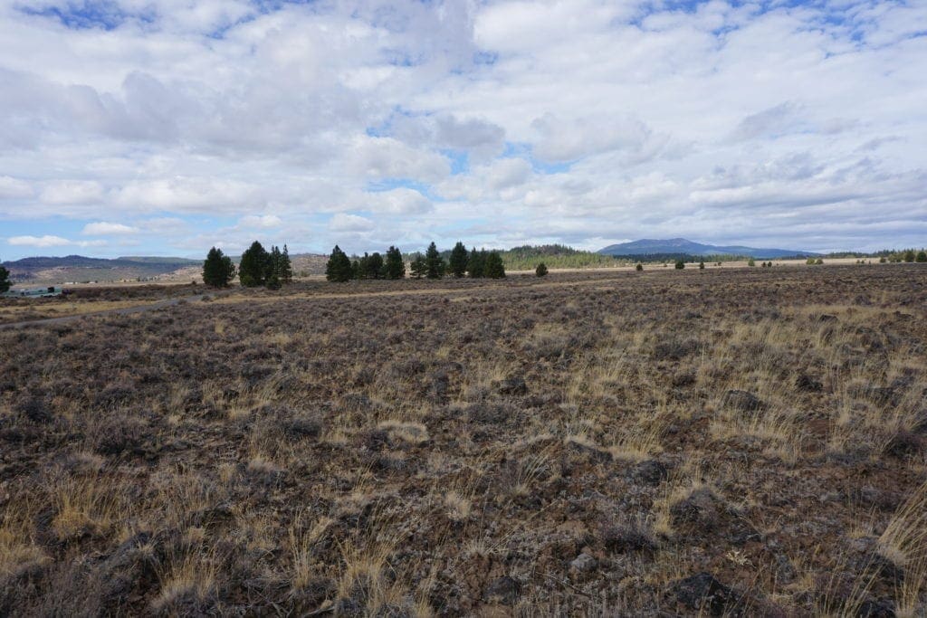 Large view of 36 Acres Central Oregon Near California TWO Parcels Separated by County Road Photo 43