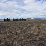 Thumbnail of 36 Acres Central Oregon Near California TWO Parcels Separated by County Road Photo 43